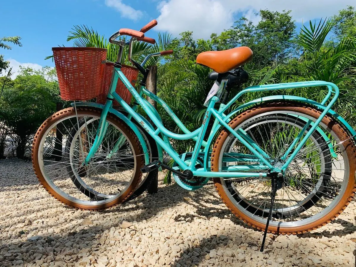 Vida Jungle Boho Apart 13 With Special Fee To Access Hotel Bardo Tulum